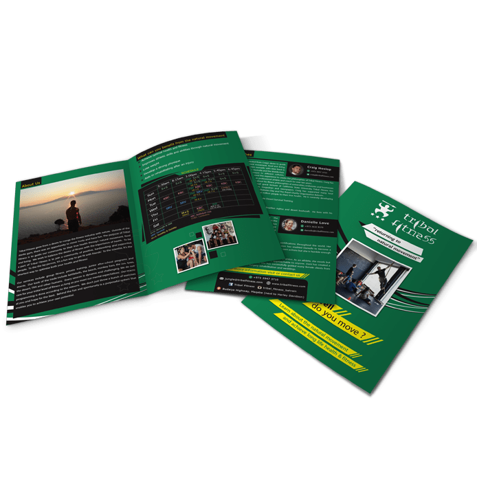 tribal fintess flyer